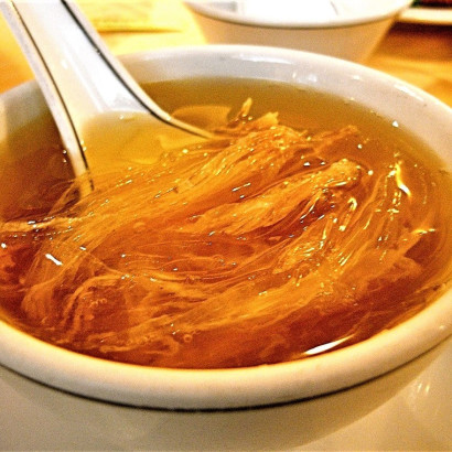 shark Fin